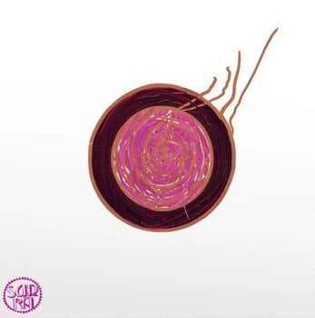 LP ploča Sun Ra - Sleeping Beauty (LP) - 1