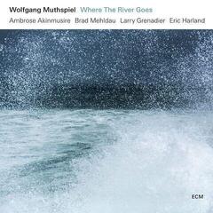 LP ploča Wolfgang Muthspiel - Where The River Goes (180 g) (LP)