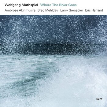 LP ploča Wolfgang Muthspiel - Where The River Goes (180 g) (LP) - 1