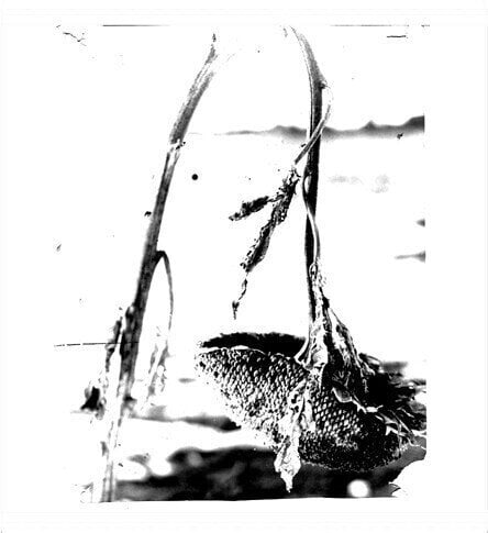 Vinyl Record Pink Reason - Cleaning The Mirror (LP)