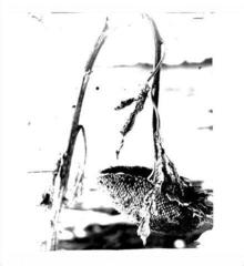 Vinyl Record Pink Reason - Cleaning The Mirror (LP)