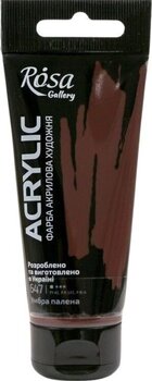 Акрилова фарба Rosa Gallery Акрилова фарба Burnt Umber (647) 60 ml 1 шт. - 1