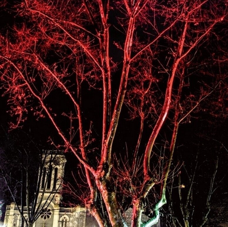 Vinylskiva Vanilla Blue - Sweetheart (LP)