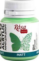 Akrilna boja Rosa Talent Akrilna boja Mint (41) Mat 20 ml 1 kom