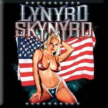 Magnet Lynyrd Skynyrd American Flag Magnet - 1