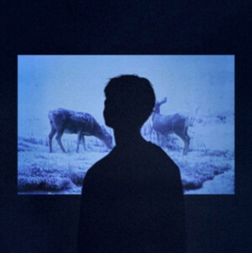 Hanglemez Jumo - Memory (LP)