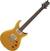 E-Gitarre PRS SE DGT Moons 2026 Gold Top E-Gitarre