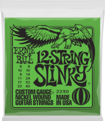 Saiten für Akustikgitarre Ernie Ball 2230 12 Slinky Saiten für Akustikgitarre