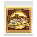 Ernie Ball 2012 Earthwood 12 String Struny pro akustickou kytaru