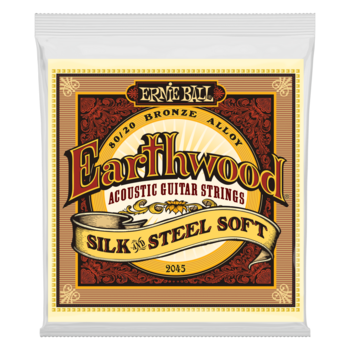 Cordes de guitares acoustiques Ernie Ball 2045 Earthwood Silk & Steel - 1