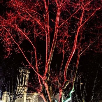 Schallplatte Vanilla Blue - Sweetheart (LP + CD) - 1