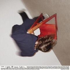 LP platňa S. Fidelity - I Guess I'll Never Learn (LP)