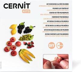 Polymer clay Cernit Starter Kit Polymer clay Fruit Miniatures