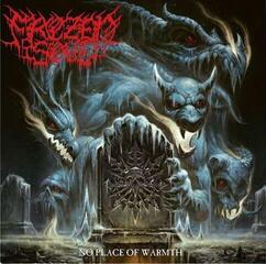 Disc de vinil Frozen Soul - No Place Of Warmth (LP)