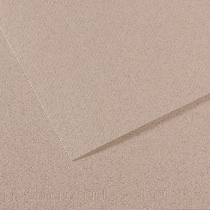 Papel colorido Canson Mi-Teintes 50x65 cm Gris Clair 426 160 g Papel colorido