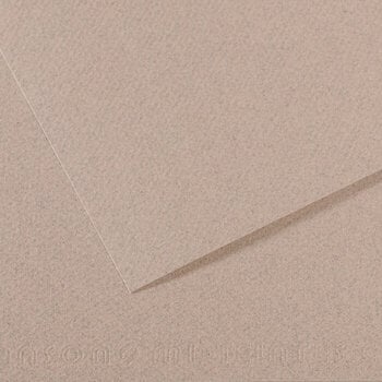 Papel colorido Canson Mi-Teintes 50x65 cm Gris Clair 426 160 g Papel colorido - 1