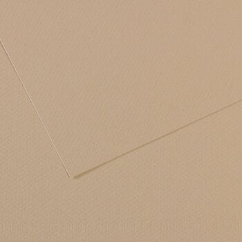 Papir u boji Canson Mi-Teintes 50x65 cm Gris Trianon 343 160 g Papir u boji - 1