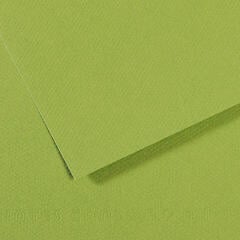 Papel colorido Canson Mi-Teintes 50x65 cm Vert Billard 575 160 g Papel colorido