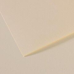 Farebné papiere Canson Mi-Teintes 50x65 cm Lily 110 160 g Farebné papiere