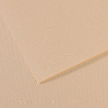 Papir u boji Canson Mi-Teintes 50x65 cm Shell 112 160 g Papir u boji - 1