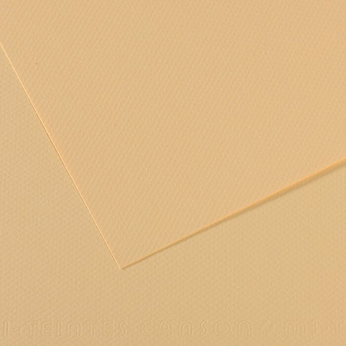 Papir u boji Canson Mi-Teintes A3 Lichen 407 160 g Papir u boji