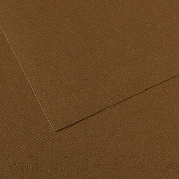 Barvni papirji Canson Mi-Teintes A3 Marron Fonce 501 160 g Barvni papirji - 1