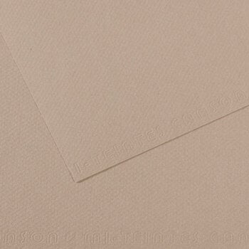 Papiri u boji Canson Mi-Teintes A4 Gris Flanelle 122 160 g Papiri u boji - 1