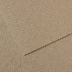 Gekleurd papier Canson Mi-Teintes A4 Gris Fumee 429 160 g Gekleurd papier