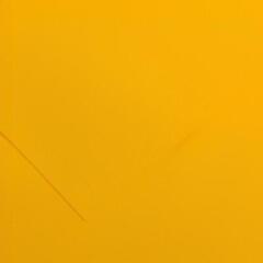 Papir u boji Canson Colorline 50x65 cm Buttercup 5 150 g Papir u boji