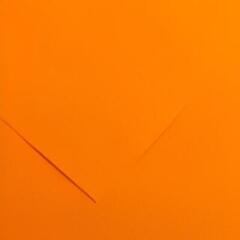 Papir u boji Canson Colorline 50x65 cm Clementine 8 150 g Papir u boji