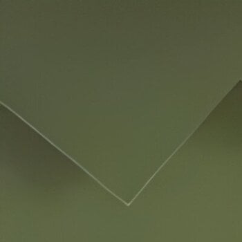 Hârtii colorate Canson Colorline 50x65 cm Khaki Green 89 150 g Hârtii colorate - 1
