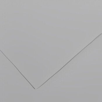 Papir u boji Canson Colorline 50x65 cm Light Grey 35 150 g Papir u boji - 1