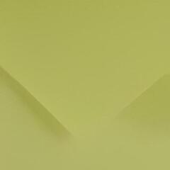 Papir u boji Canson Colorline 50x65 cm Lime Green 88 150 g Papir u boji