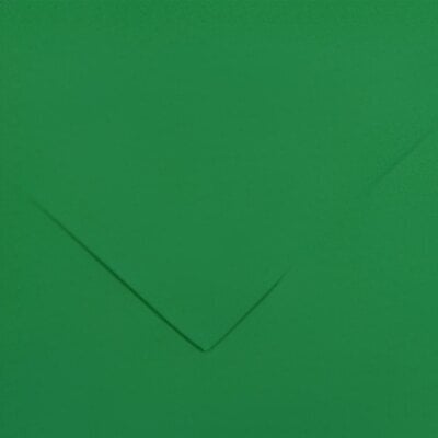 Hârtii colorate Canson Colorline 50x65 cm Moss Green 30 150 g Hârtii colorate