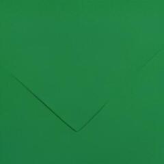 Papir u boji Canson Colorline 50x65 cm Moss Green 30 150 g Papir u boji