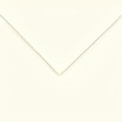 Papir u boji Canson Colorline 50x65 cm Pearl White 49 150 g Papir u boji