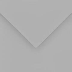 Papir u boji Canson Colorline 50x65 cm Pebble Grey 90 150 g Papir u boji