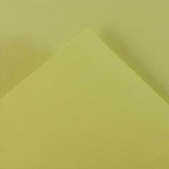 Barevné papíry Canson Vivaldi 50x65 cm Lime Green 88 240 g Barevné papíry