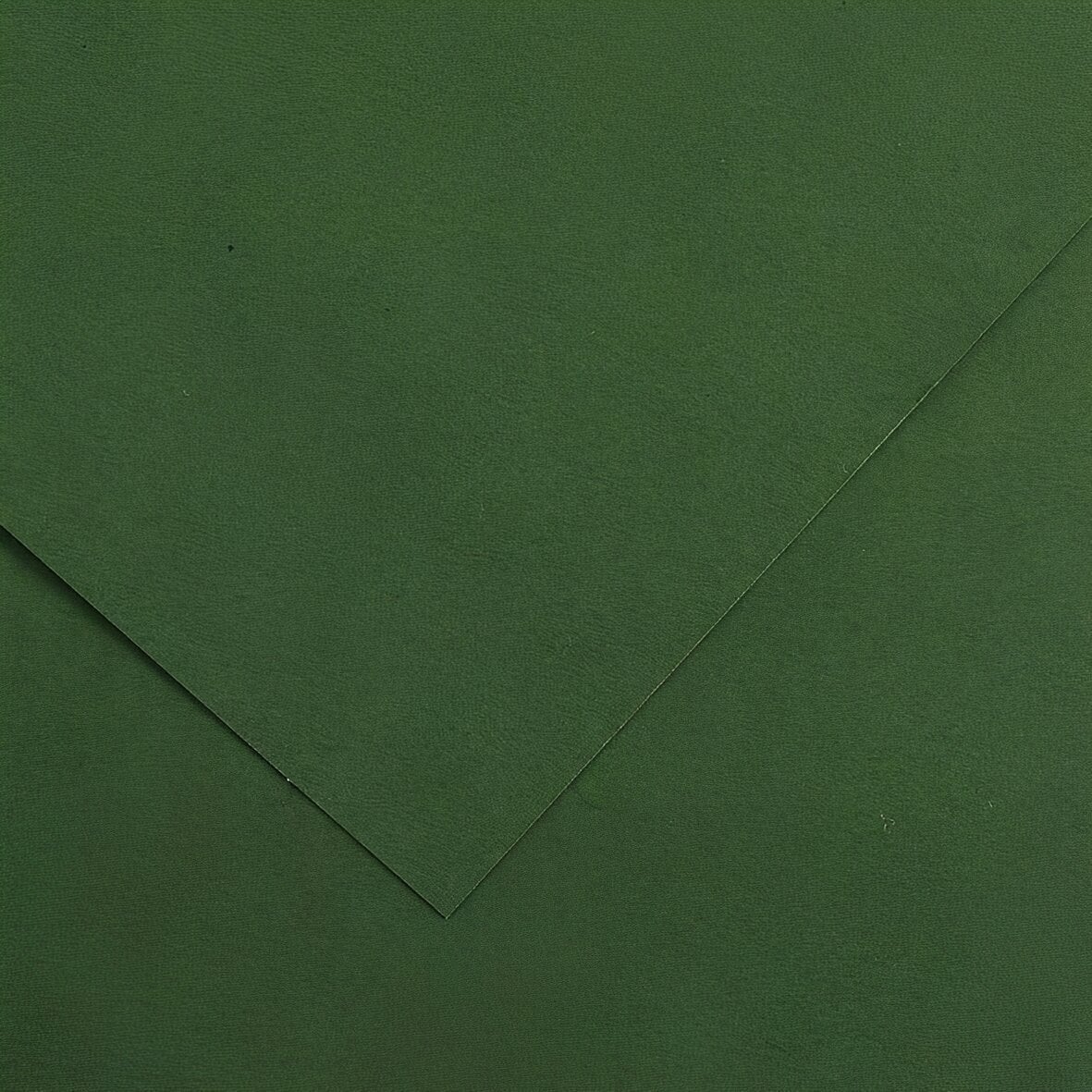 Кольоровий папір Canson Vivaldi A3 Fir Tree 31 185 g Кольоровий папір