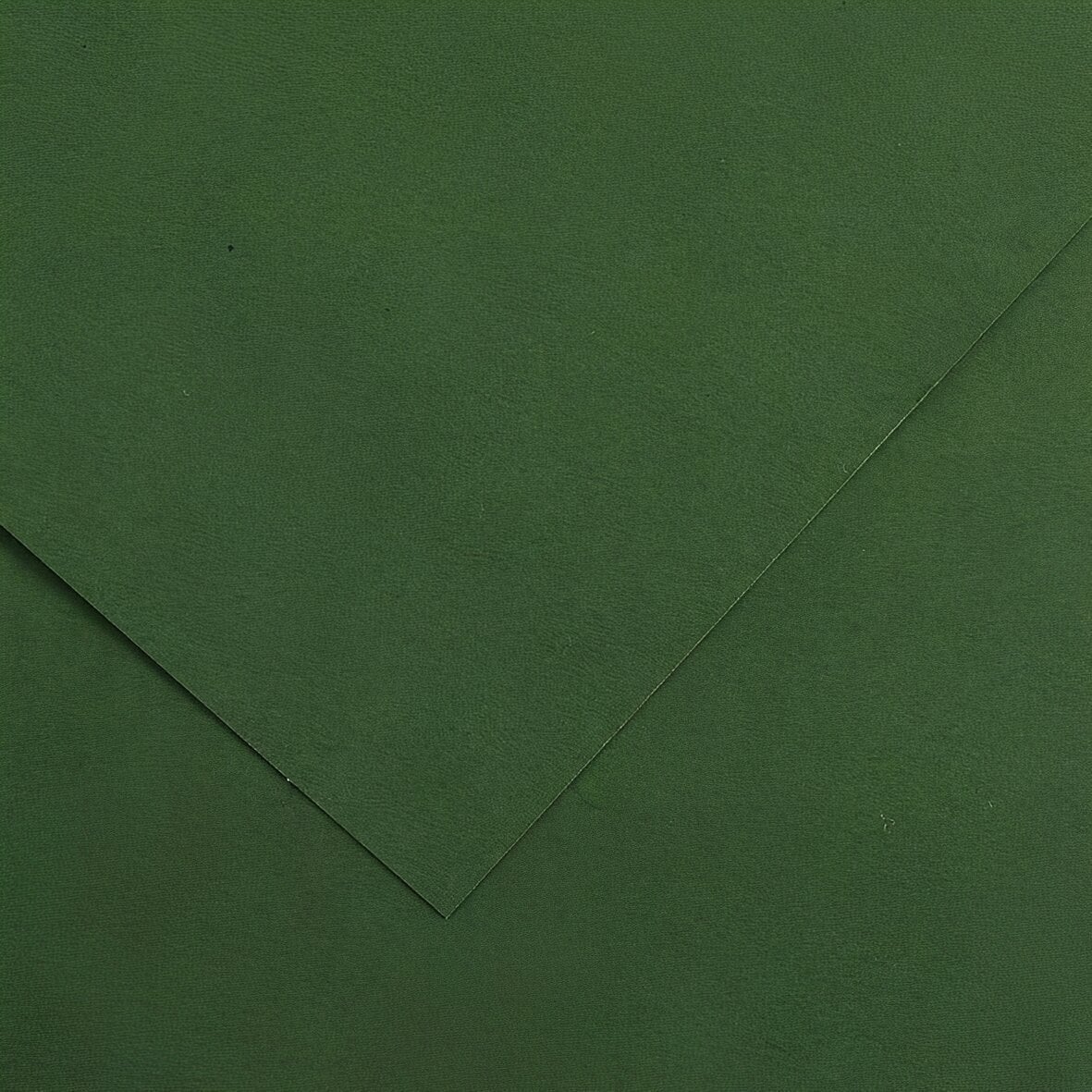 Farvet papir Canson Vivaldi A4 Fir Tree 31 185 g Farvet papir