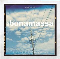 Hanglemez Joe Bonamassa - A New Day Now - 20th Anniversary Edition (Limited Edition) (180 g) (2 LP)