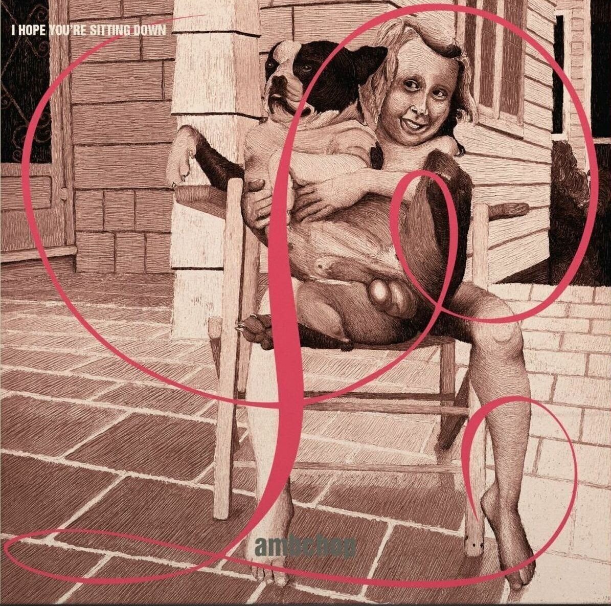 Vinyl Record Lambchop - I Hope You're Sitting Down (Reissue) (Limited Edition) (2 LP)