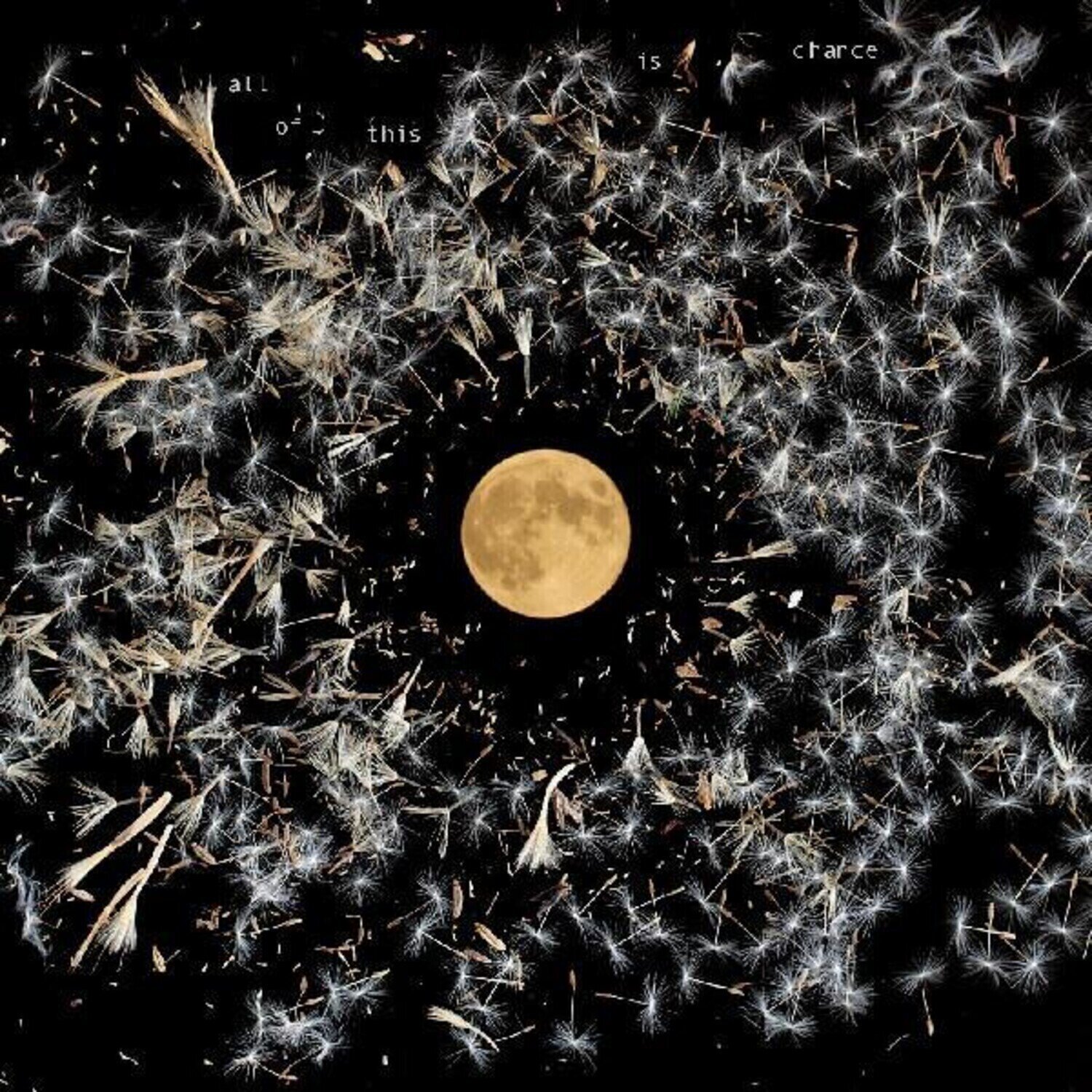 Płyta winylowa Lisa O'Neill - All Of This Is Chance (Limited Edition) (Silver Coloured) (LP)