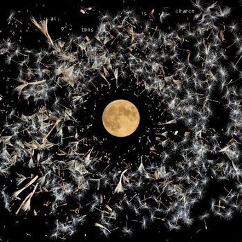 Płyta winylowa Lisa O'Neill - All Of This Is Chance (Limited Edition) (Silver Coloured) (LP) - 1