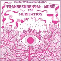 LP platňa Master Wilburn Burchette - Transcendental Music For Meditation (Reissue) (Milky Clear Psychic Truth Coloured) (LP)