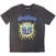 Camiseta de manga corta Sublime Sun Logo (Stone Wash) Charcoal Grey S Camiseta de manga corta