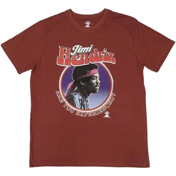 T-Shirt Jimi Hendrix Are You Experienced Red 2XL T-Shirt - 1