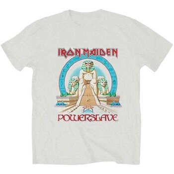 T-shirt Iron Maiden Powerslave Egypt Heather Grey M T-shirt - 1