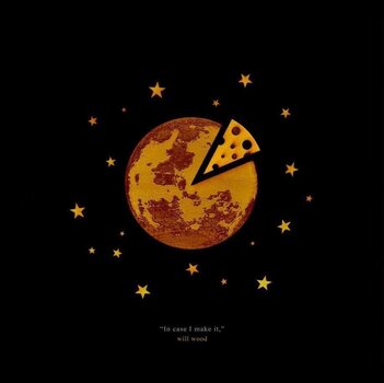 Vinilinė plokštelė Will Wood - In Case I Make It (Orange Coloured) (2 LP) - 1