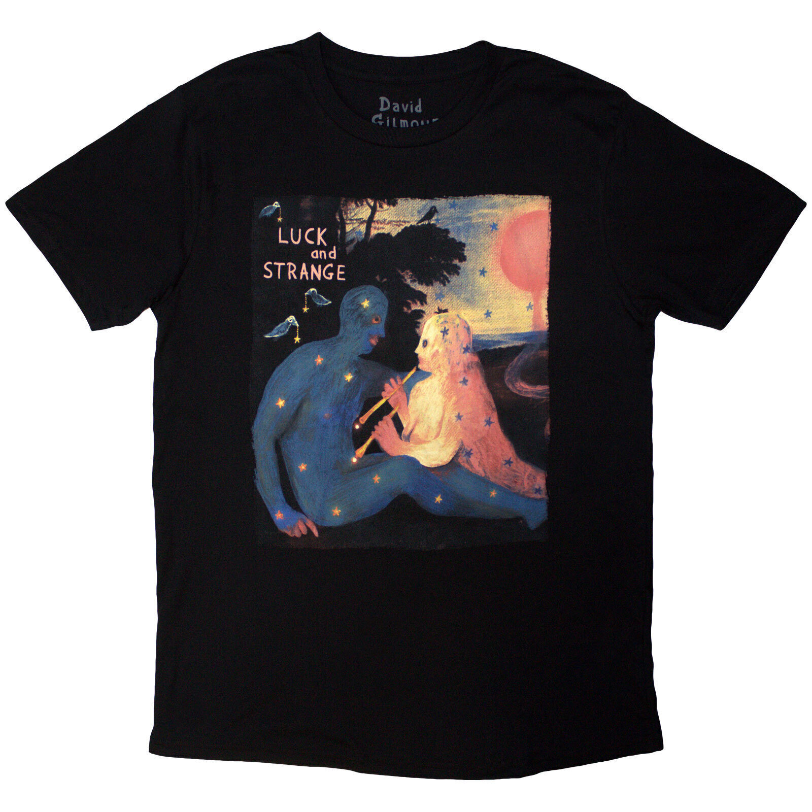 T-Shirt David Gilmour Luck & Strange London 2 (Back Print & Ex-Tour) Black 2XL T-Shirt